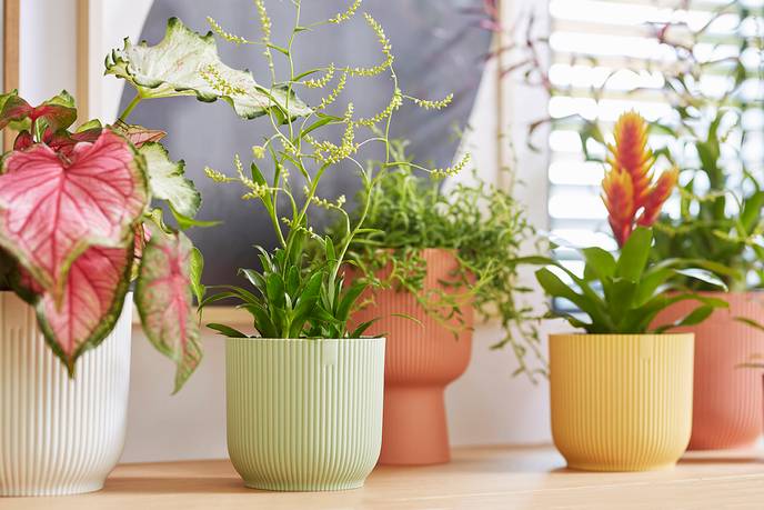 vibes fold rond 16cm vert sorbet